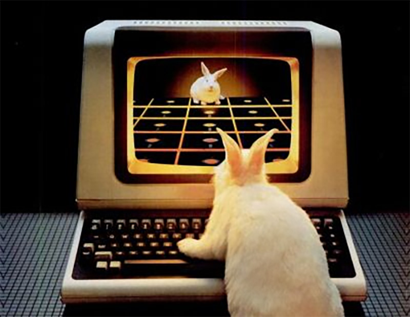 Photo of a rabbit in front of a retro PC, seeing its reflection in the monitor like a mirror